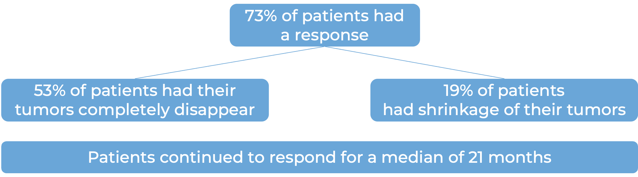 Results after treatment with Breyanzi (diagram)