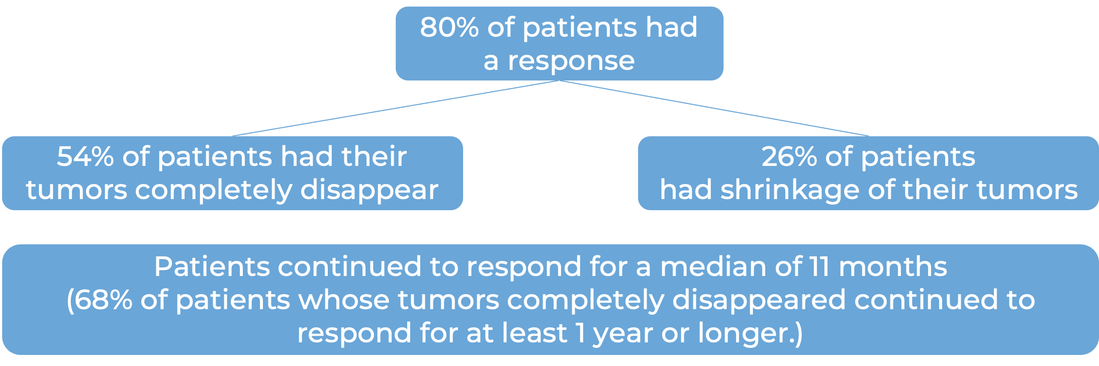 Results after treatment with Breyanzi (diagram)