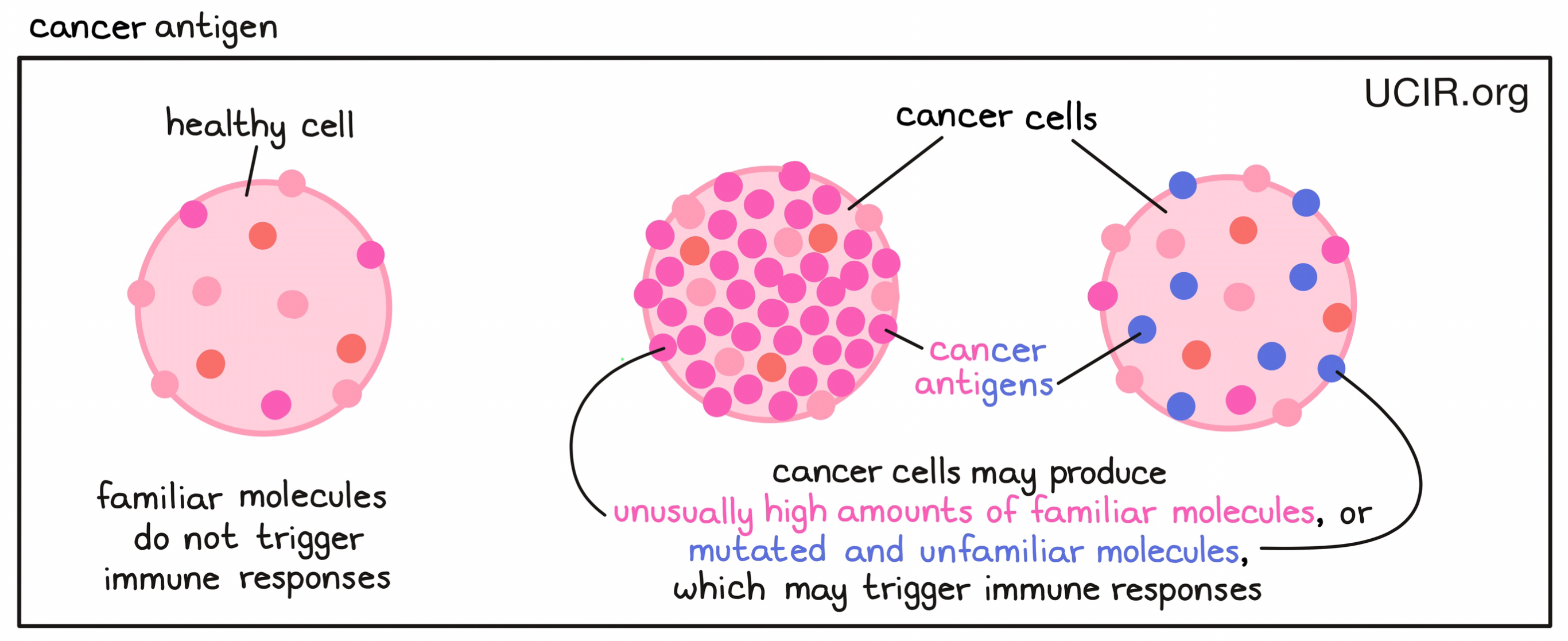 Cancer antigen illustrated Cancer antigen illustrated