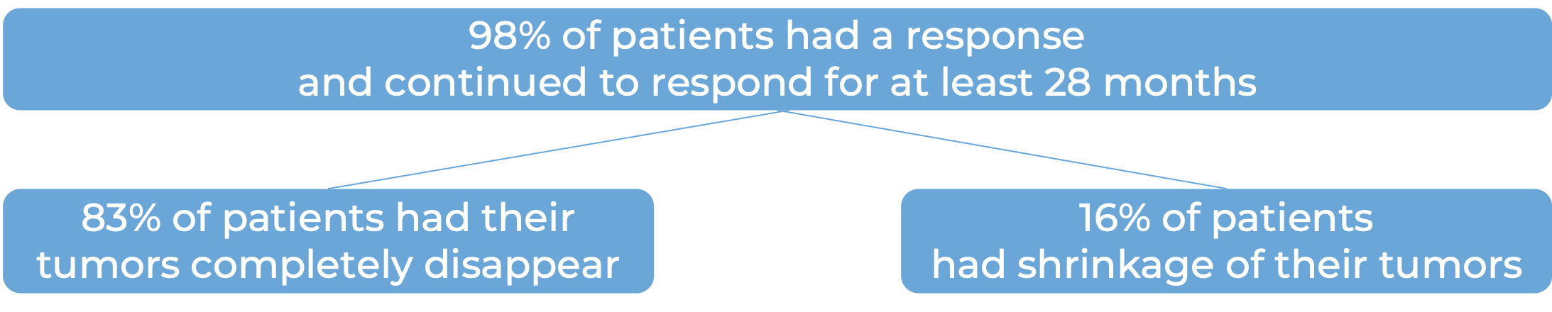 Results after treatment with Carvykti  Results after treatment with Carvykti (diagram)