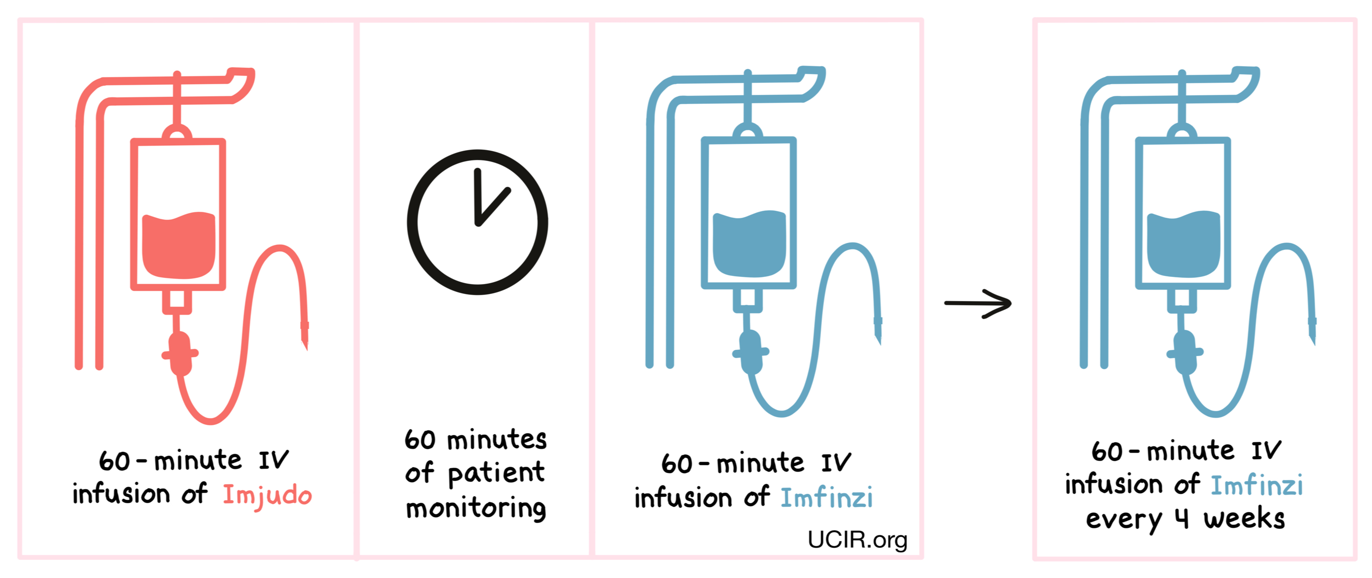 Illustration showing how Imjudo is administered for liver cancer patients Illustration showing how Imjudo is administered for liver cancer patients