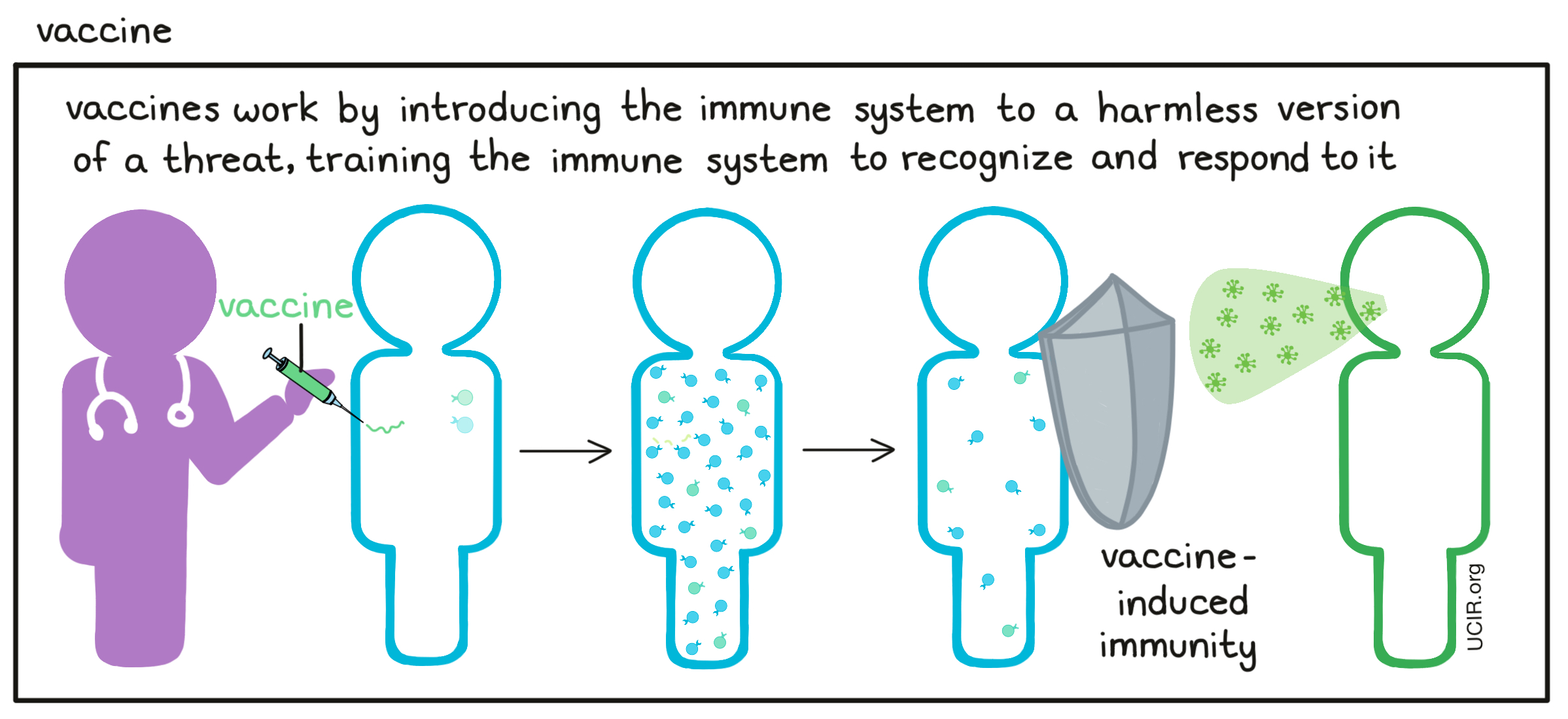 Vaccine illustrated Vaccine illustrated